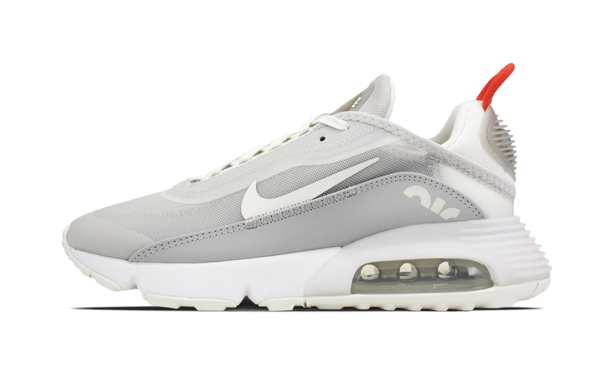 AIR MAX 2090 WMNS "Grey" DJ3028 001