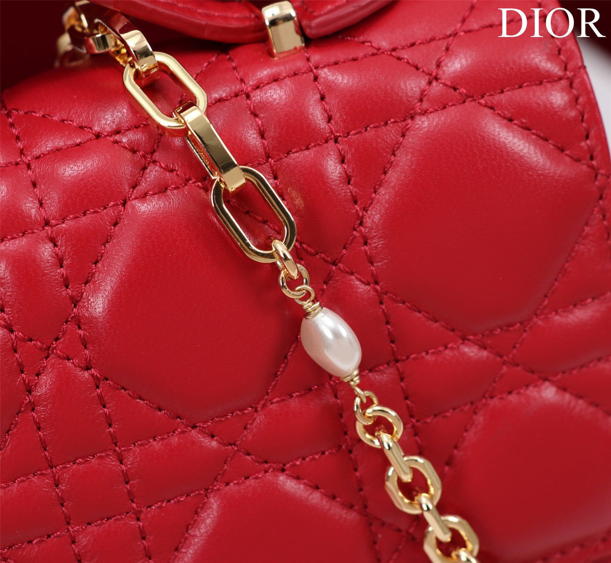 my cd mini 21 red lambskin