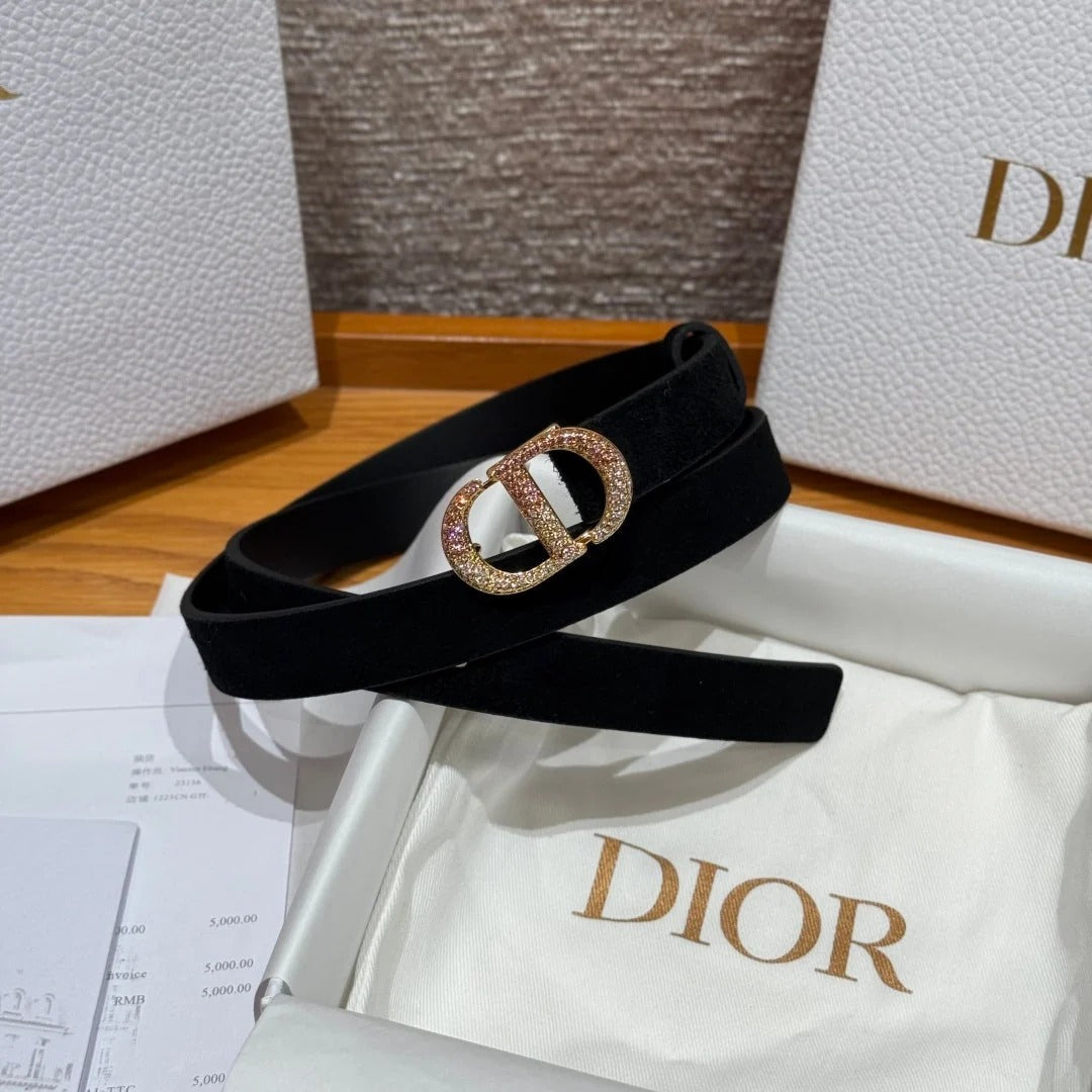 Dior 2026 Rhinestone CD Buckle Belt 20mm Suede 193831