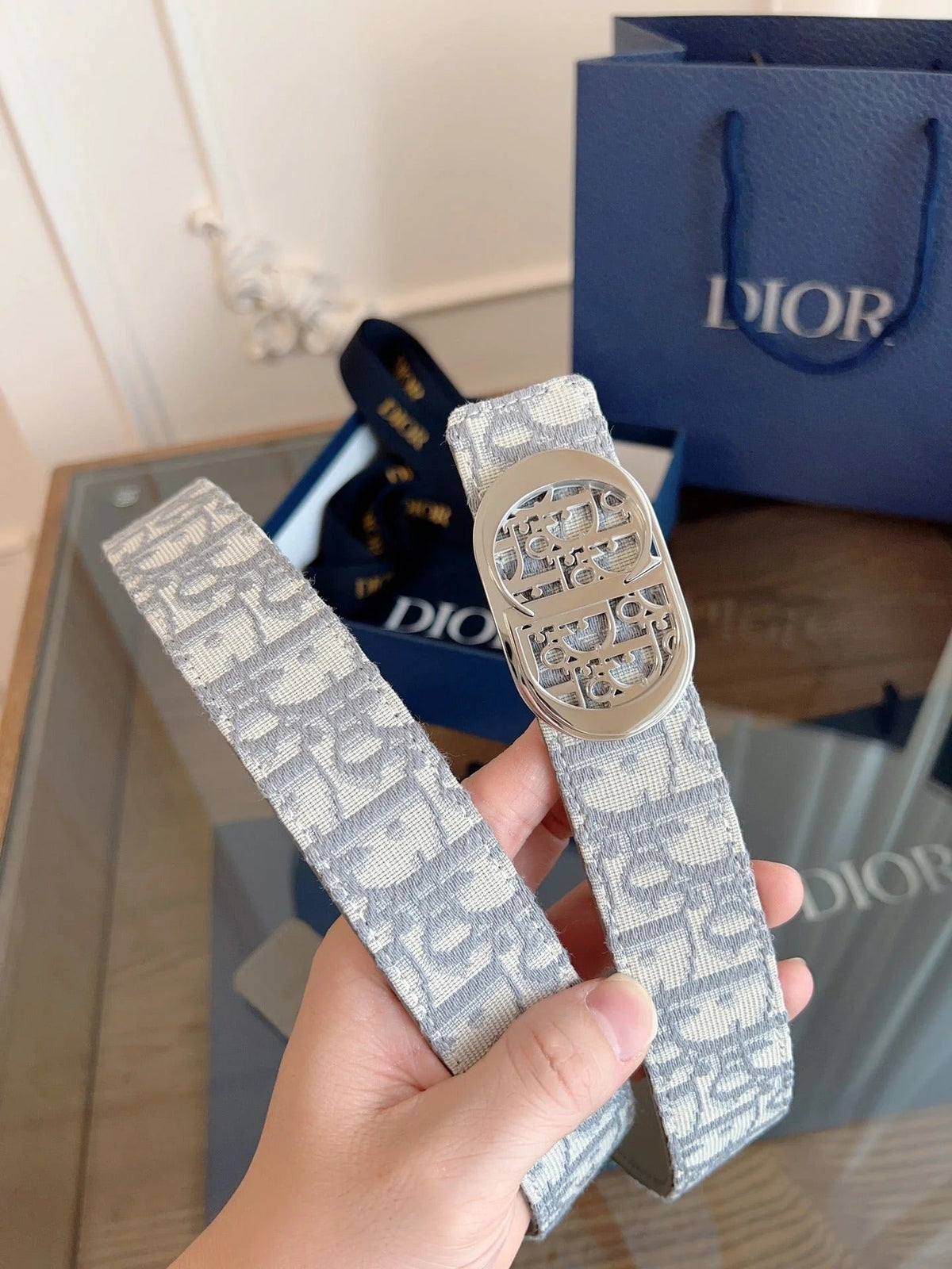 Dior 2026 Oblique CD Buckle Belt 35mm Gray Canvas 189413