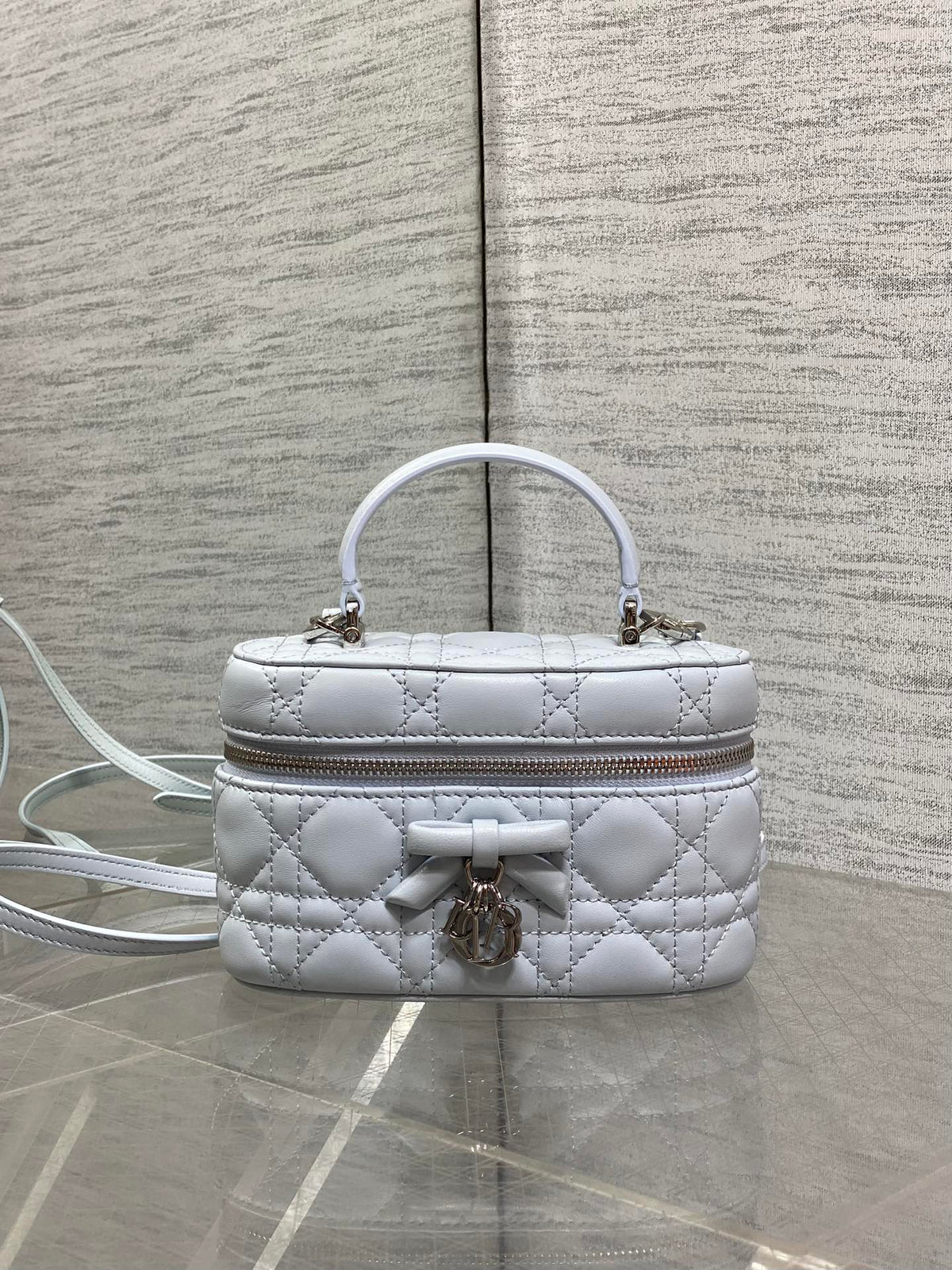 Dior 2026 Vanity Bag 17.5cm Cannage Lambskin 289248