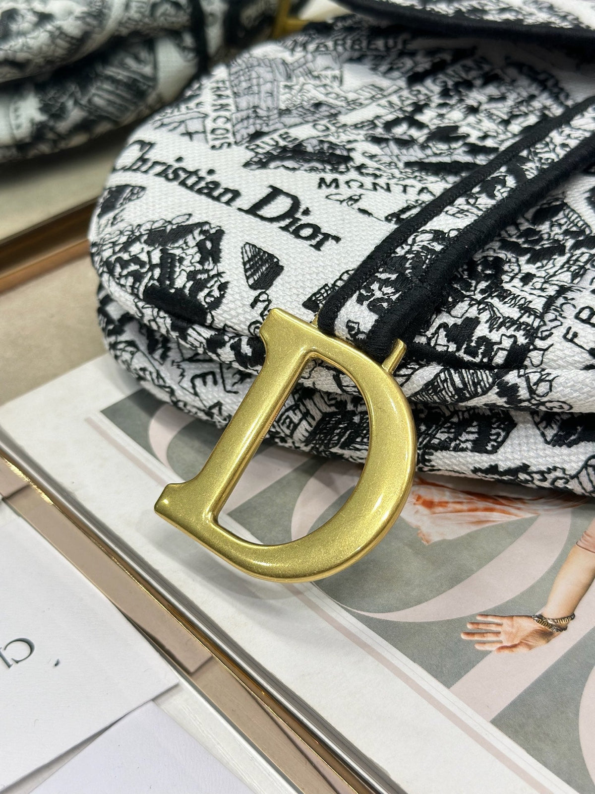 Dior 2026 Striking Black White Plan de Paris Pattern 25.5cm Saddle Bag 289478