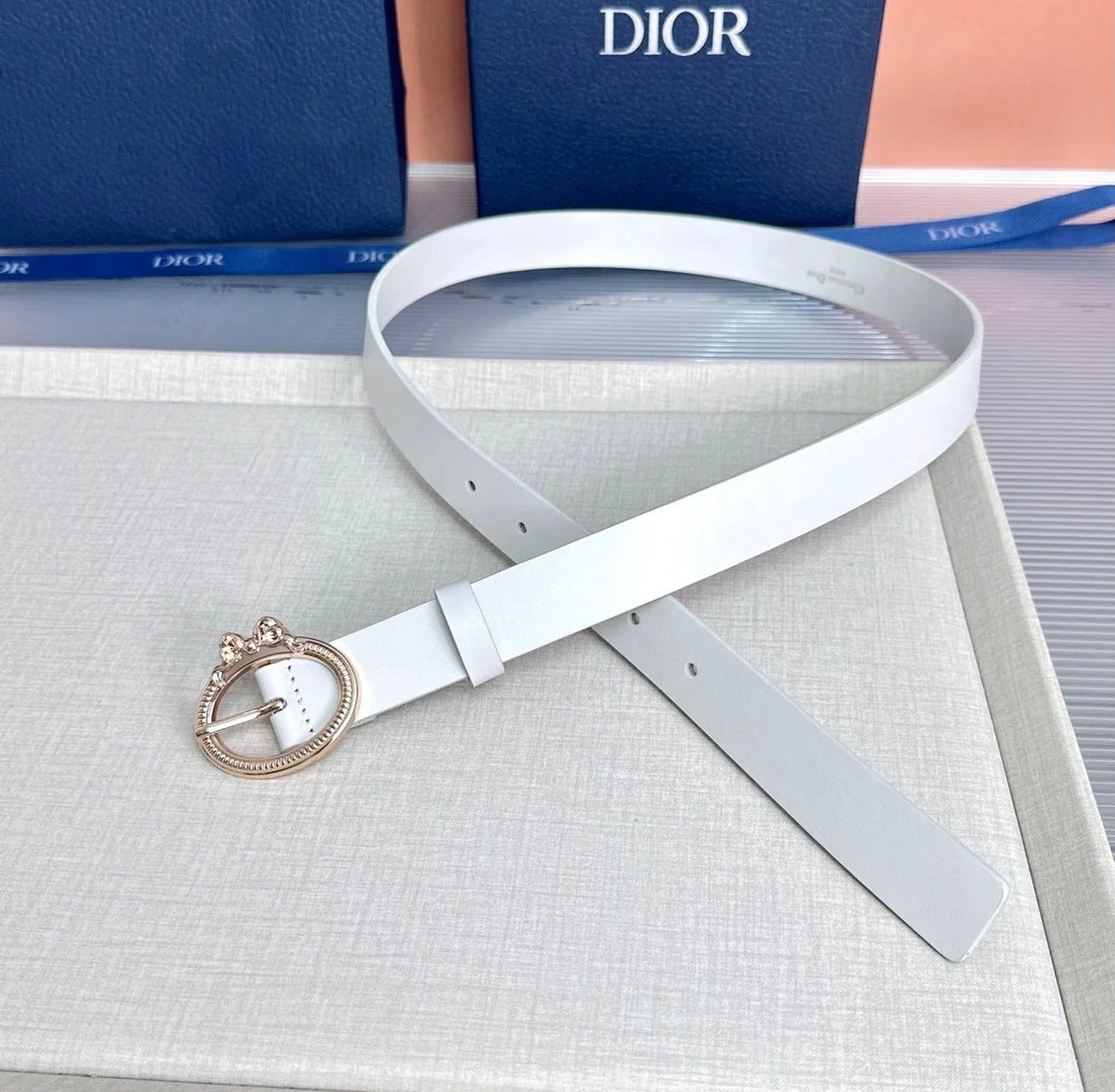 Dior Médaillon Belt 25mm Smooth Calfskin 209867