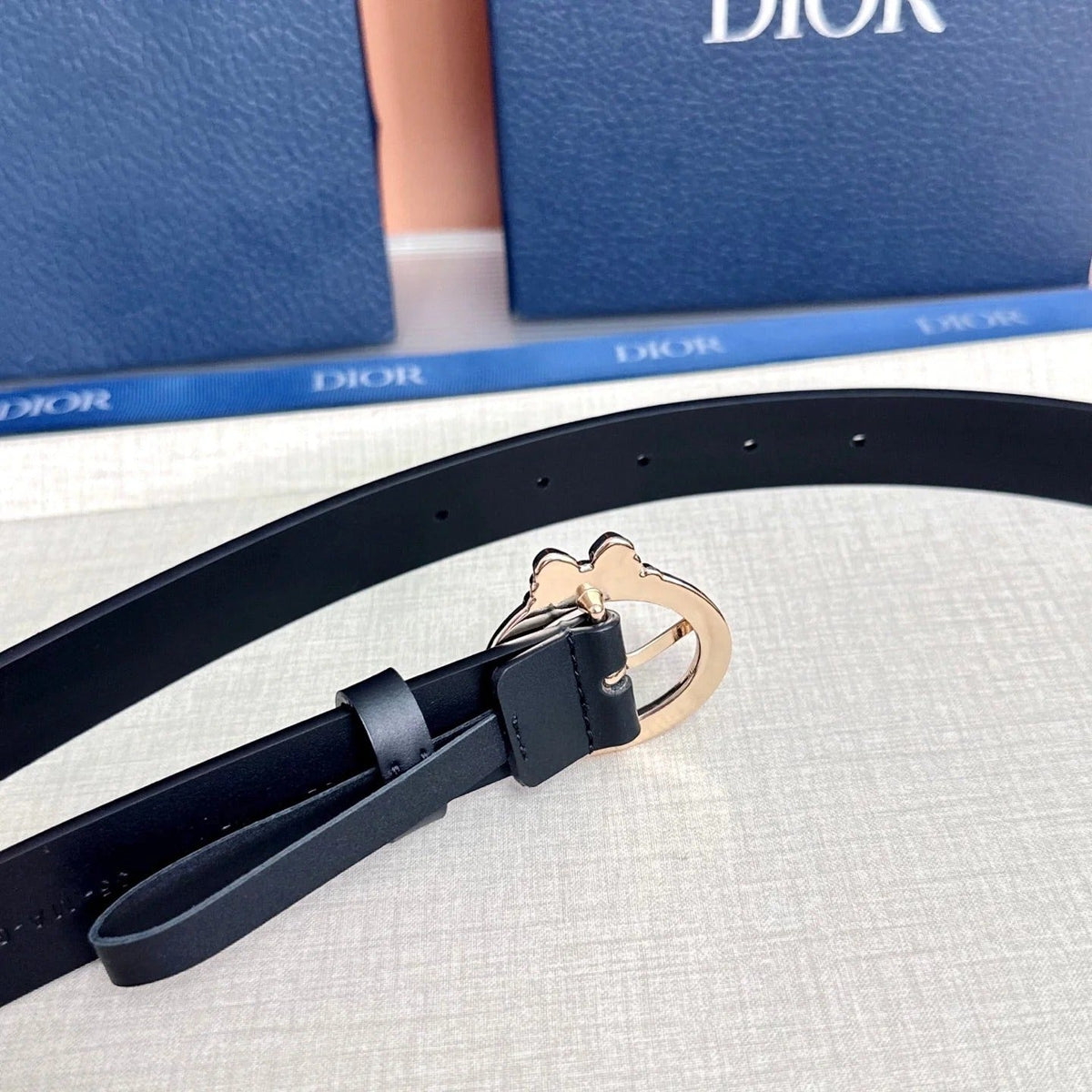 Dior Médaillon Belt 25mm Smooth Calfskin 209867
